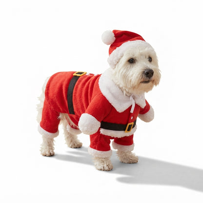 Disfraz Papá Noel para mascotas